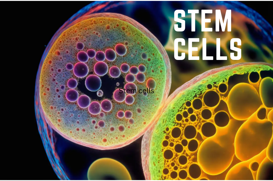 The Fascinating World of Stem Cells